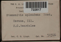 Image Associated With the Occurence